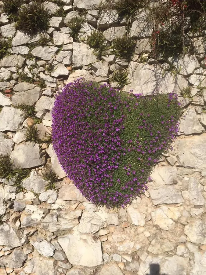 Agriturismo Al Vecio Caselo Arsiero Italië